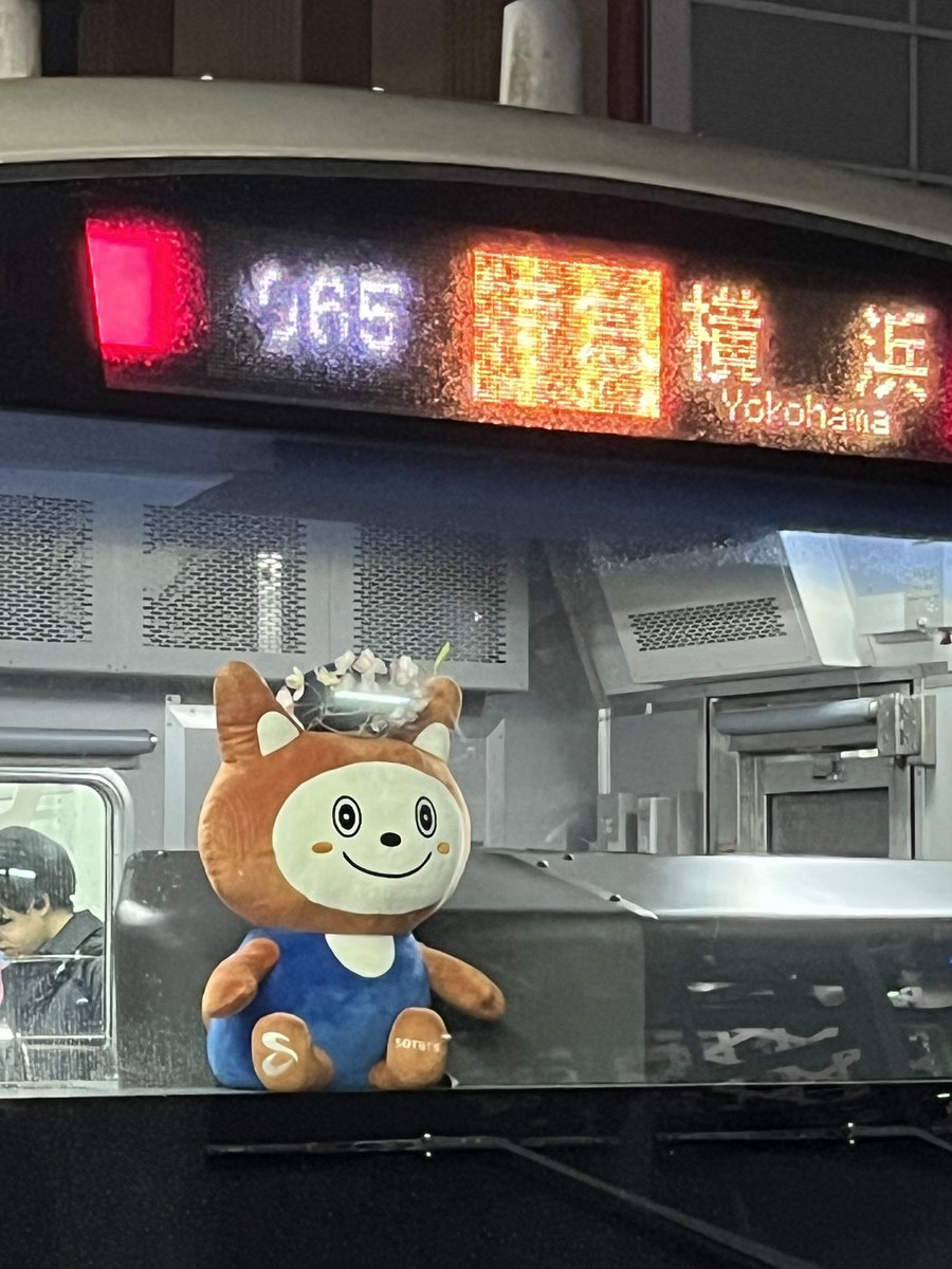 ɐɯɐsɐs tweet media