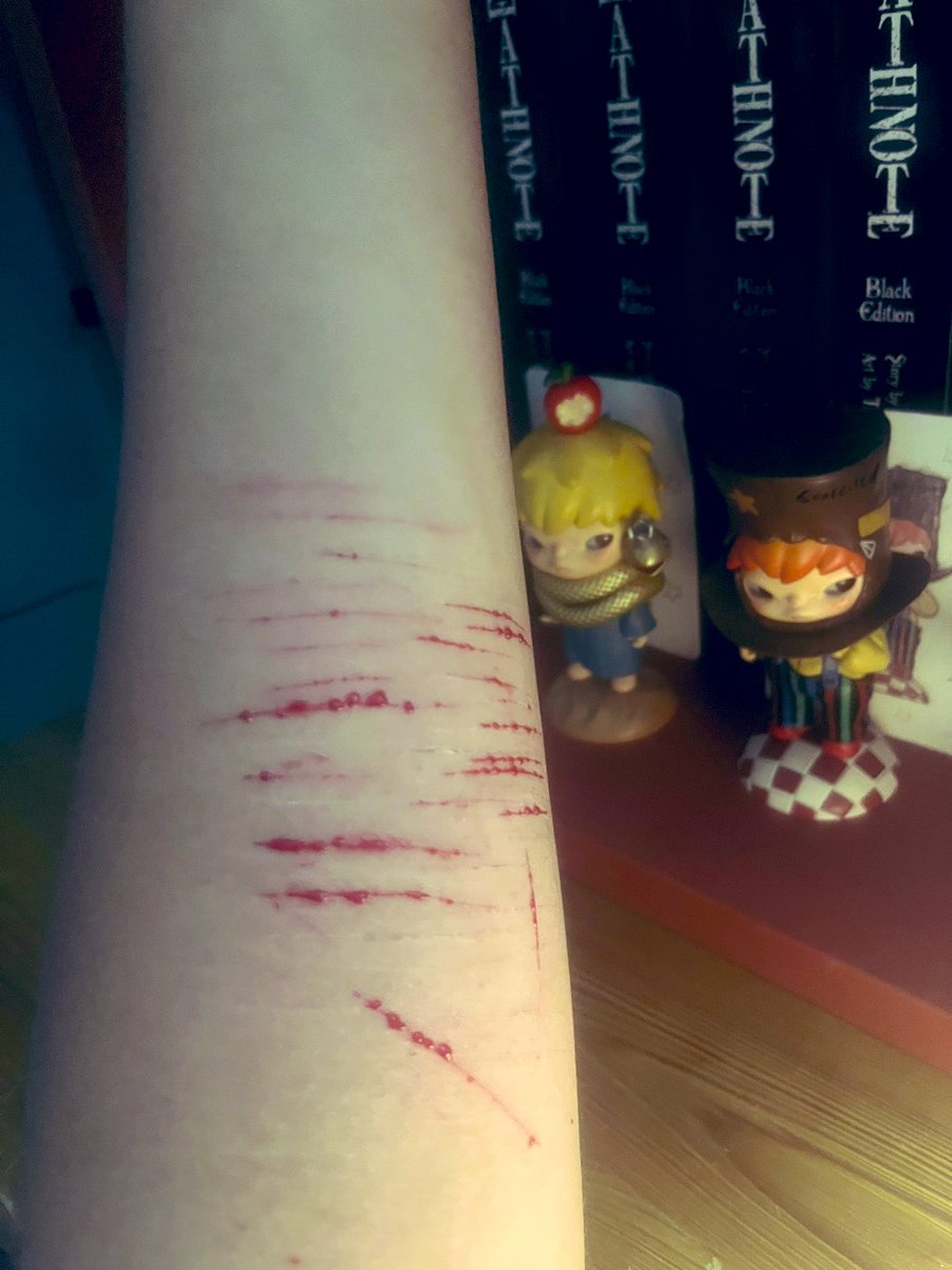 🍫 𝒸yn ♡’s 𝓂ello (SHEDTWT) 🪽 tweet media