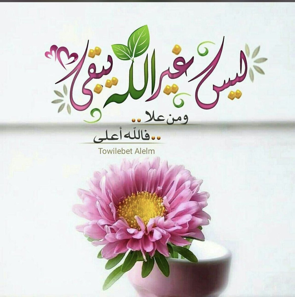 طالبة الغفران tweet media