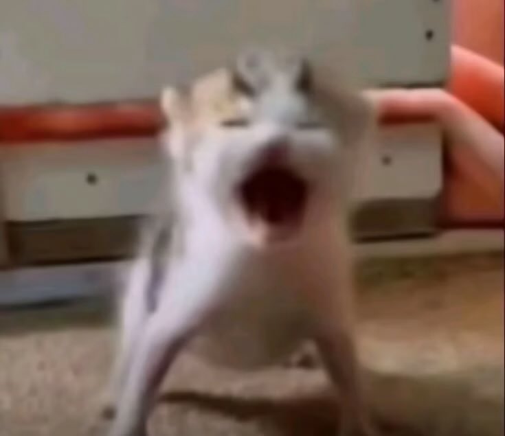 Hermoso collab <a href="/Anne352/">anne</a> :3 gracias 😭😭😭😭💞💞🔆🔆🔆 
Pasen tips para tener un buen pincel en procreate ando probando 🤝🏼 
#countryhumanecuador #digitalart #countryhumans #countryhumansperu