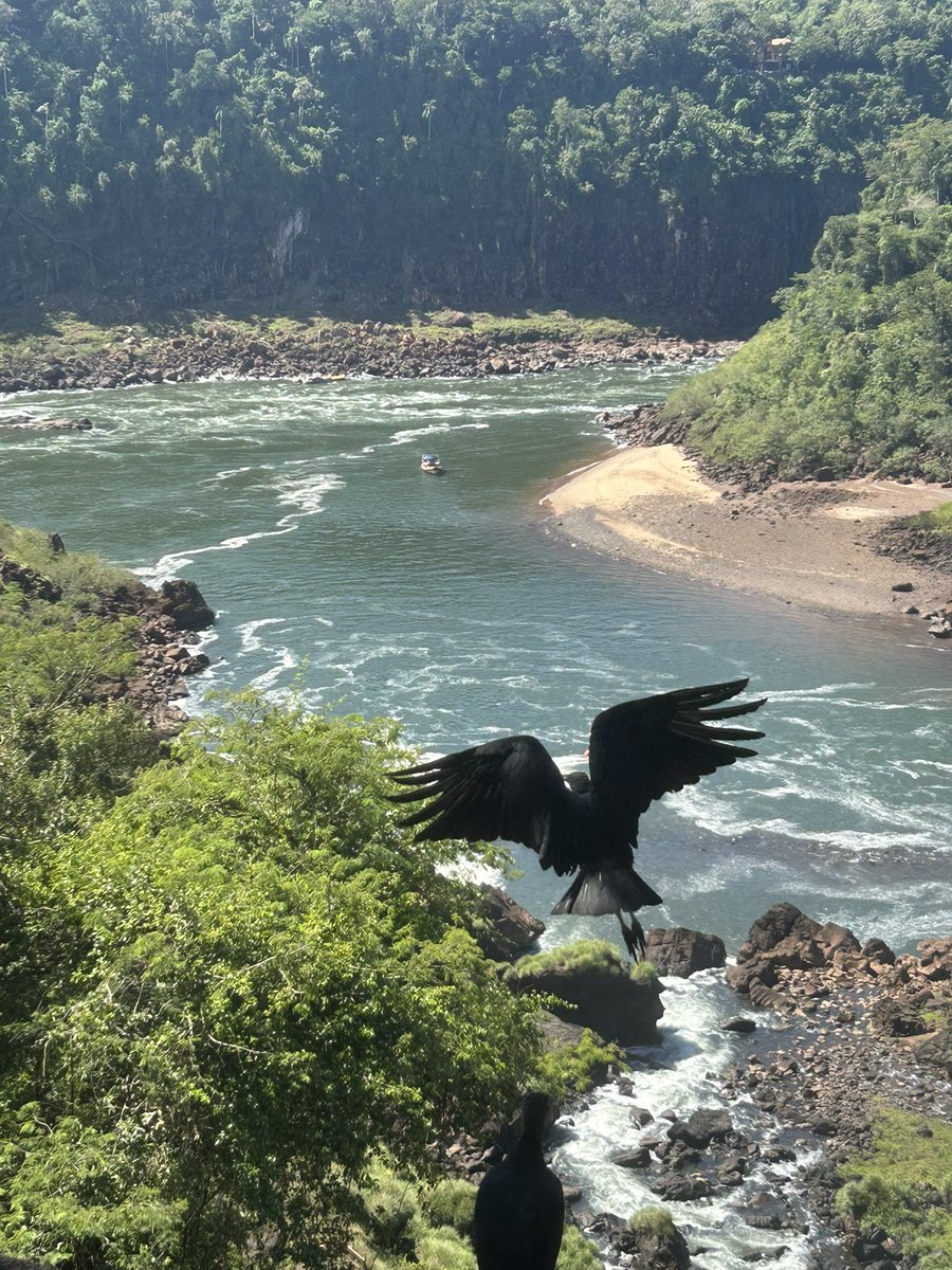 Bastien 🛫 tweet media