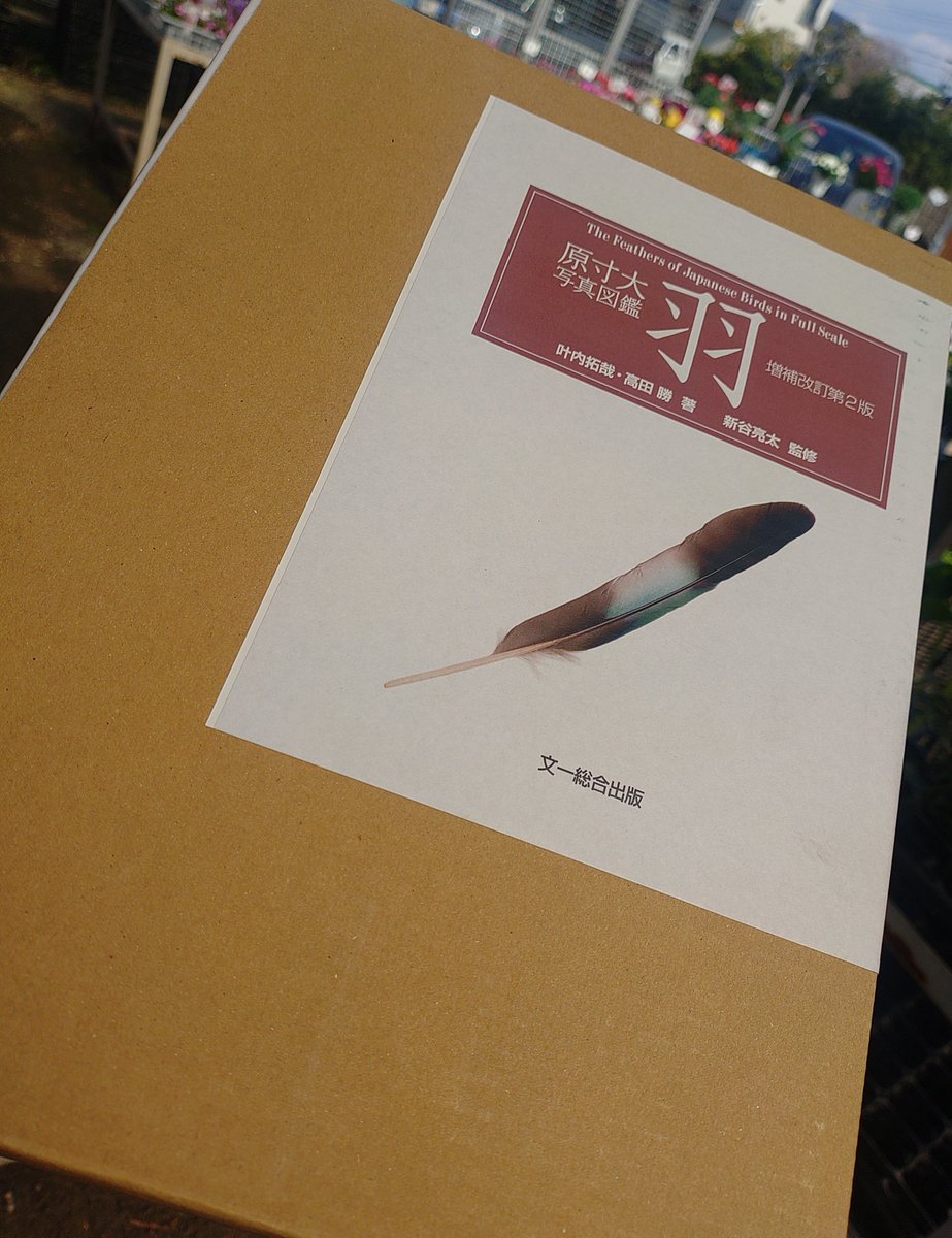 torimini tweet media