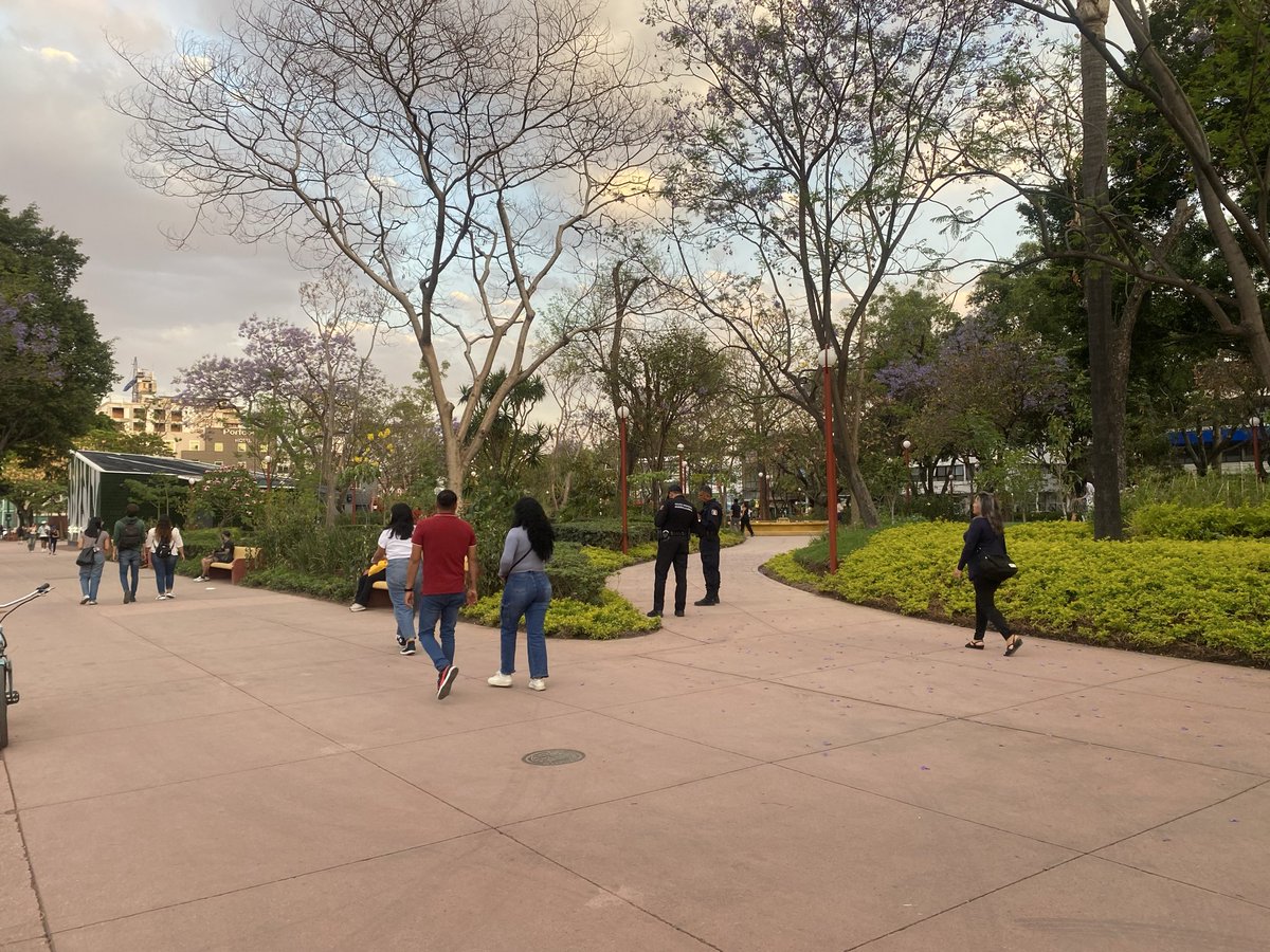 Eduardo González Velázquez tweet media