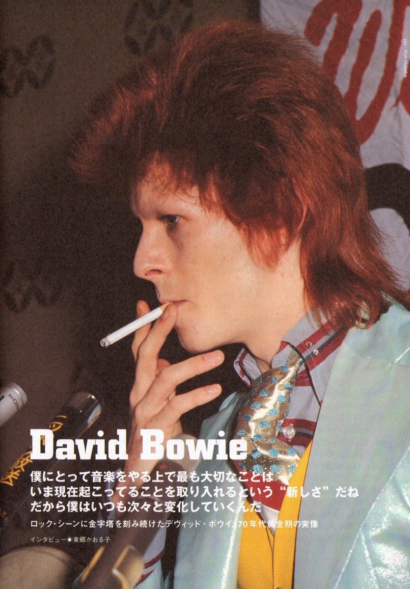 bowie archive tweet media