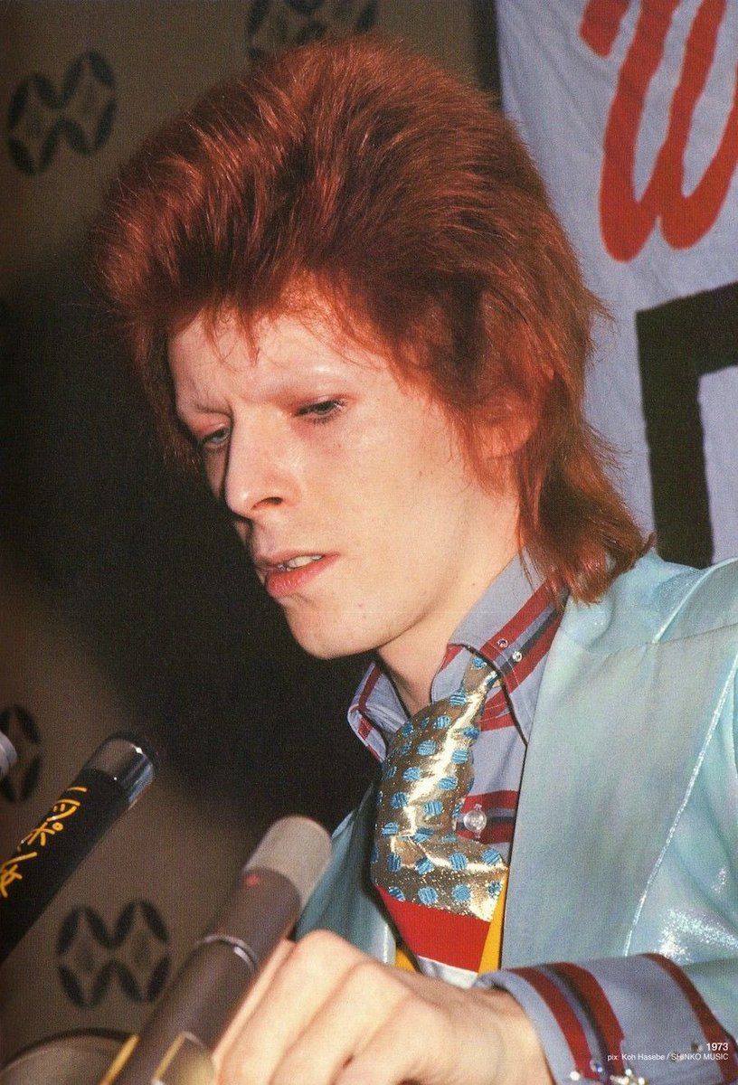 bowie archive tweet media