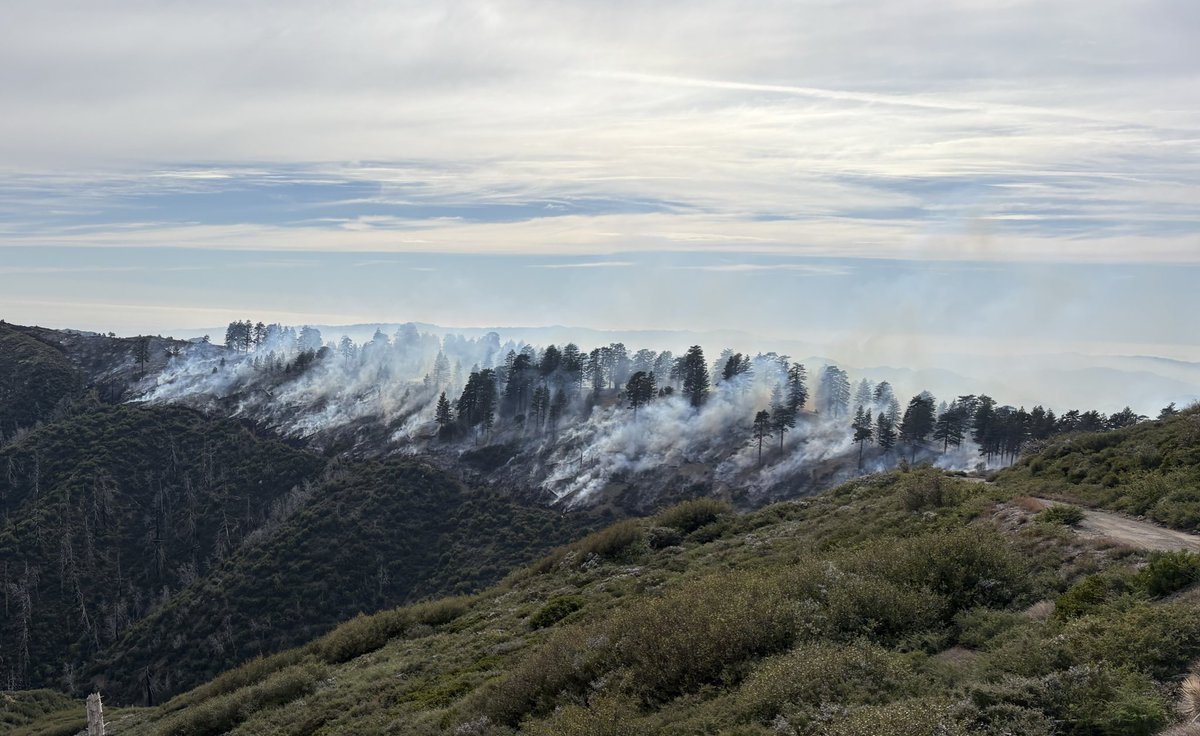 firechiefanf's tweet image. This incredibly important work continues across the #ANF to reduce wildfire risk along fuel breaks, and creating defense zones &amp;amp; defensible space. Prescribed fire is just one of the tools your firefighters are using to treat already over 14K acres this year! 

🇺🇸🔥