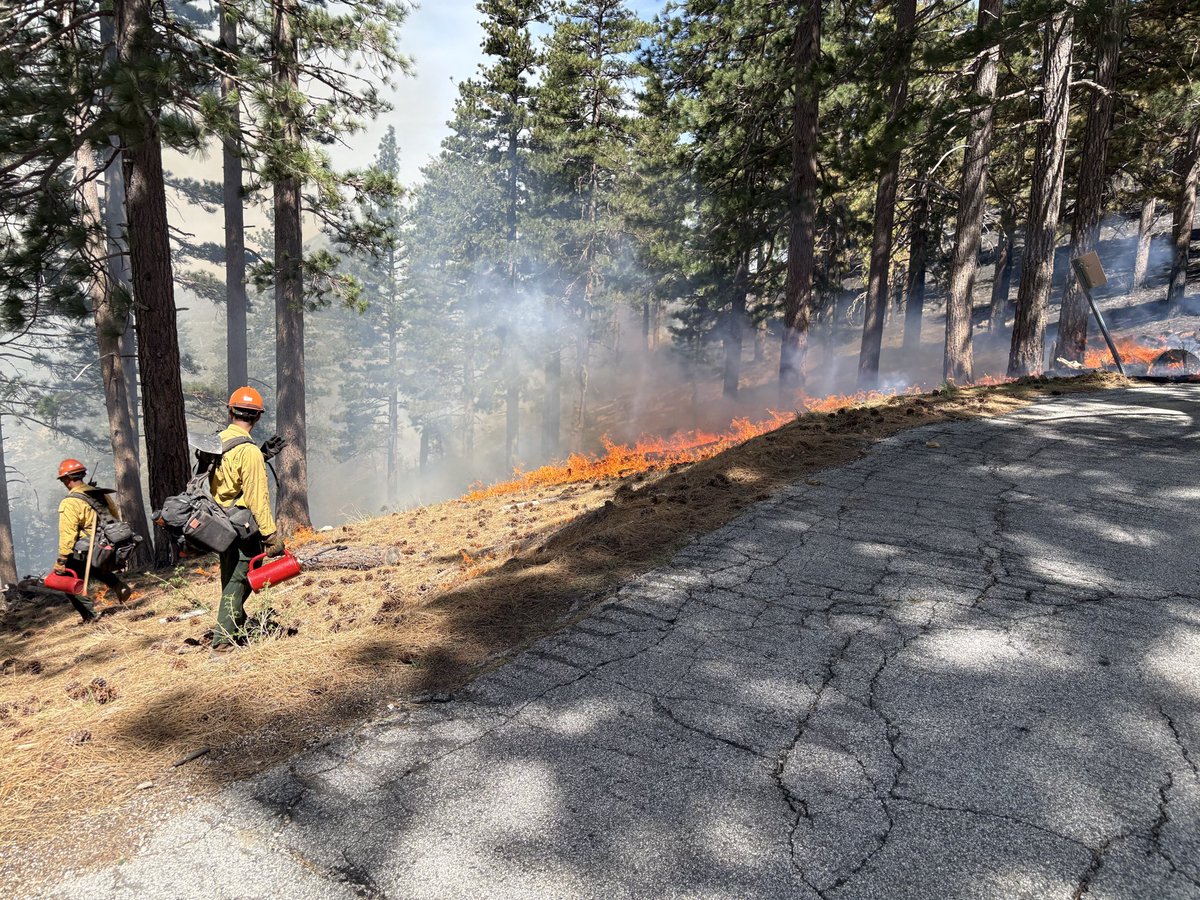 firechiefanf's tweet image. This incredibly important work continues across the #ANF to reduce wildfire risk along fuel breaks, and creating defense zones &amp;amp; defensible space. Prescribed fire is just one of the tools your firefighters are using to treat already over 14K acres this year! 

🇺🇸🔥
