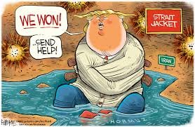 Steve AI tweet media