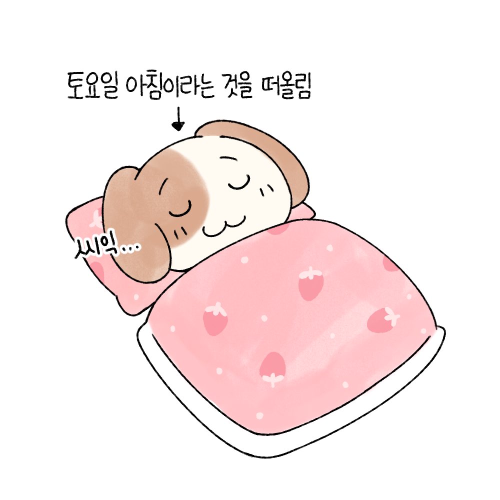 묘냥이와 멍구 tweet media