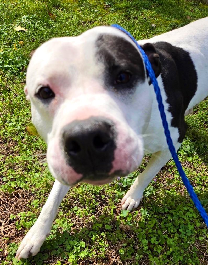 Donna Lac tweet media