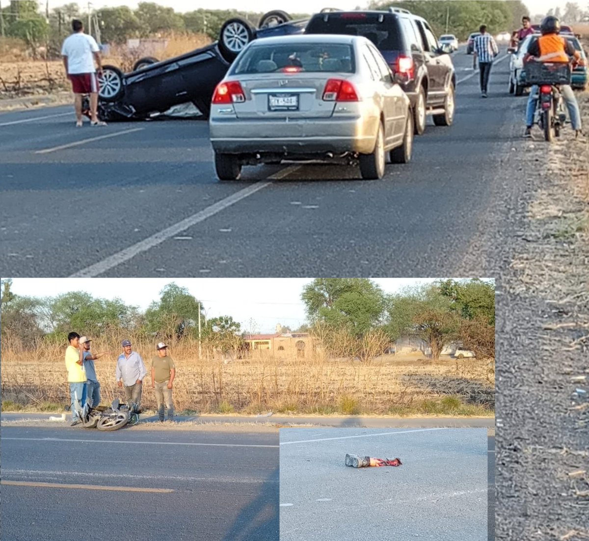 𝕃𝕦𝕔𝕪 tweet media