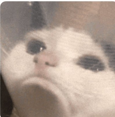 Basil Albaz tweet media