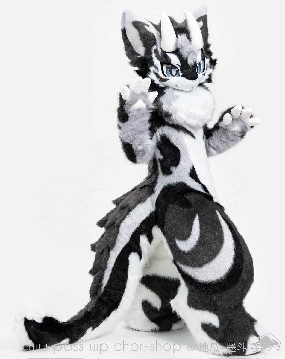 ＃万物通行 ＃wwpass  ＃fursuit ＃万界通行  
⚫⚪🐉100%