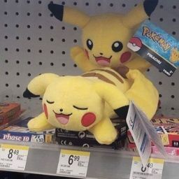 Pokémon Posts tweet media