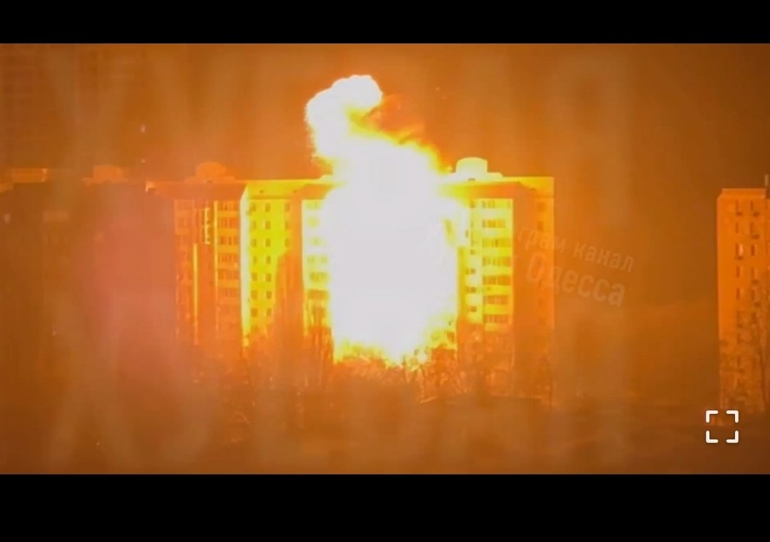 Пухнастий українобот 🇺🇦⚓️ tweet media