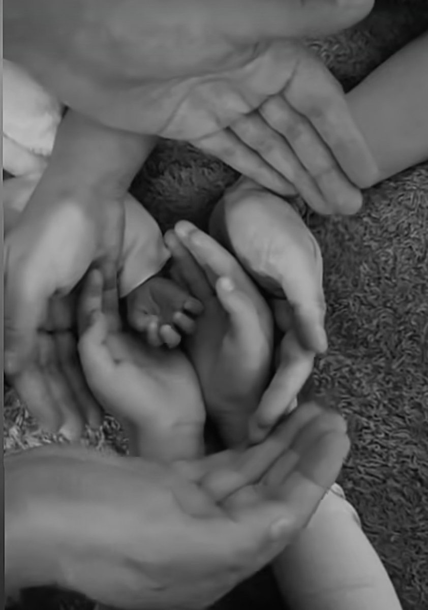 The Best of RBD tweet media