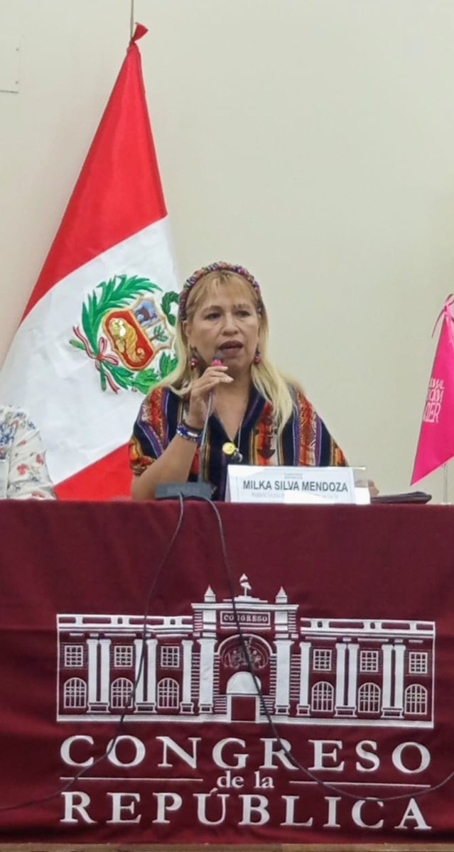 MilkaSilva14's tweet photo. Conferencia  
Análisis de la Situación de la Mujer en el Perú 
Disertando en el Congreso de la República. https://t.co/JWLEXnxK7T