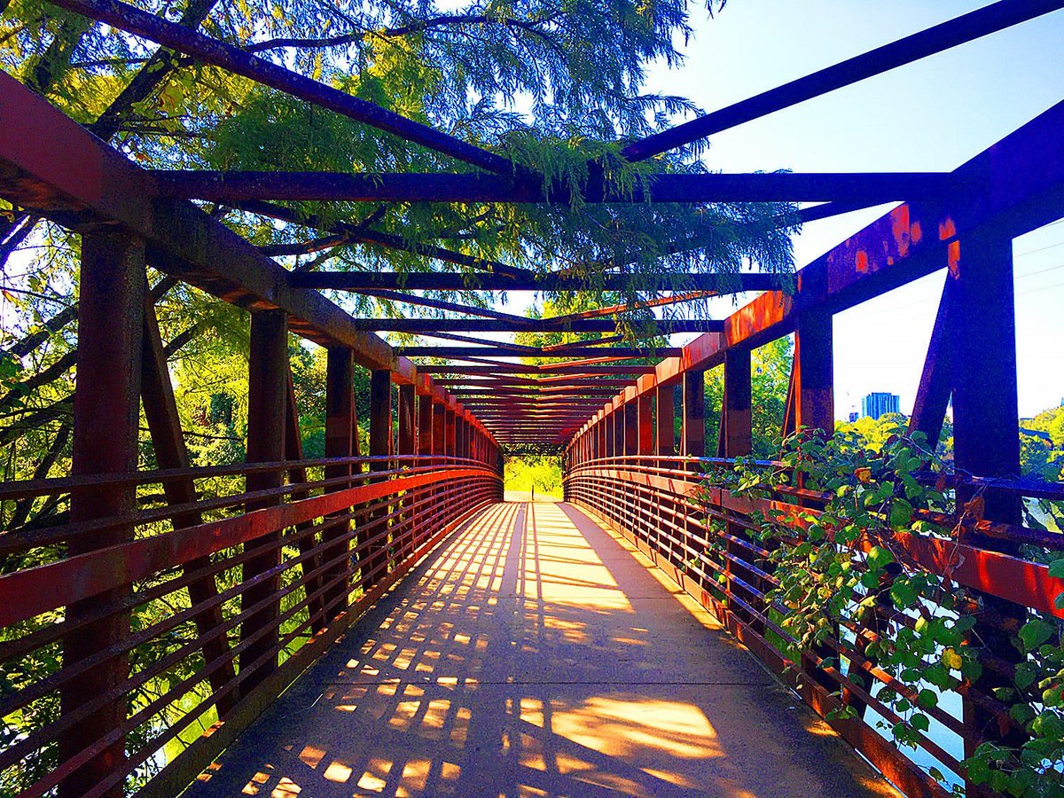 Liv Harper tweet media