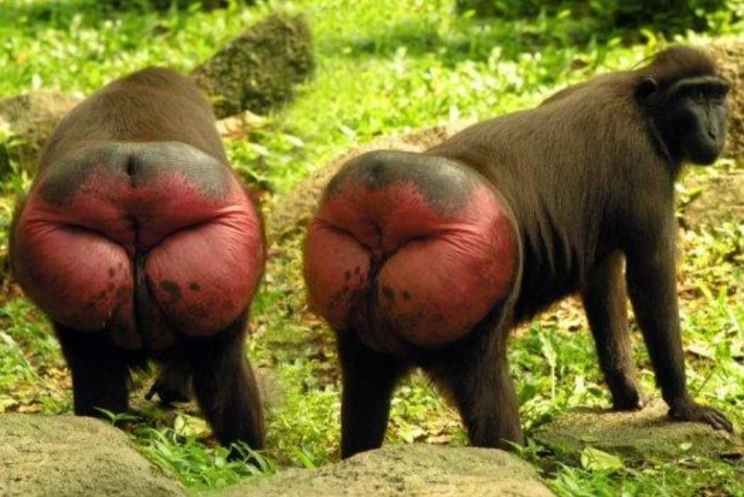 ♡ Liz ♡ tweet media