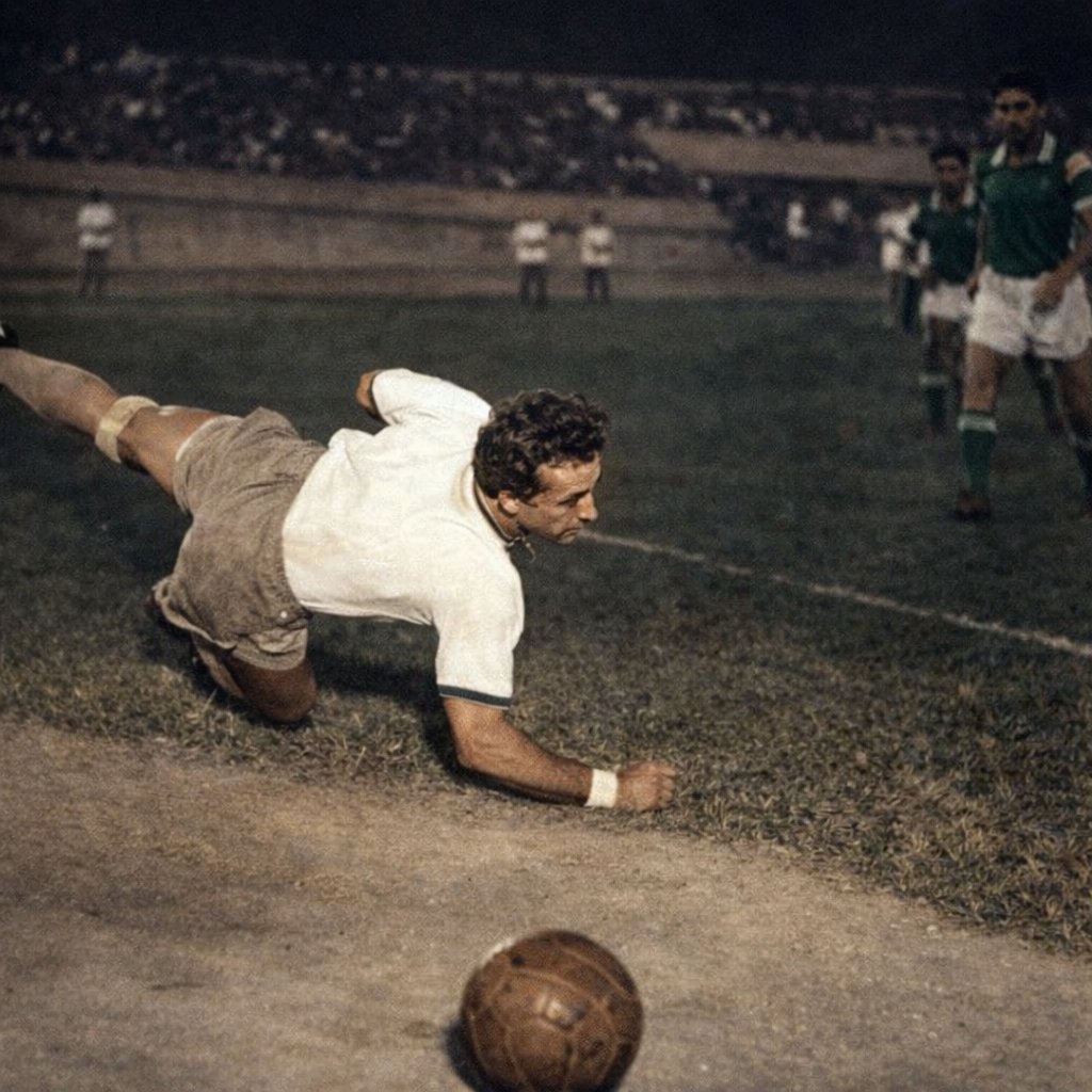 TekoSilva tweet media