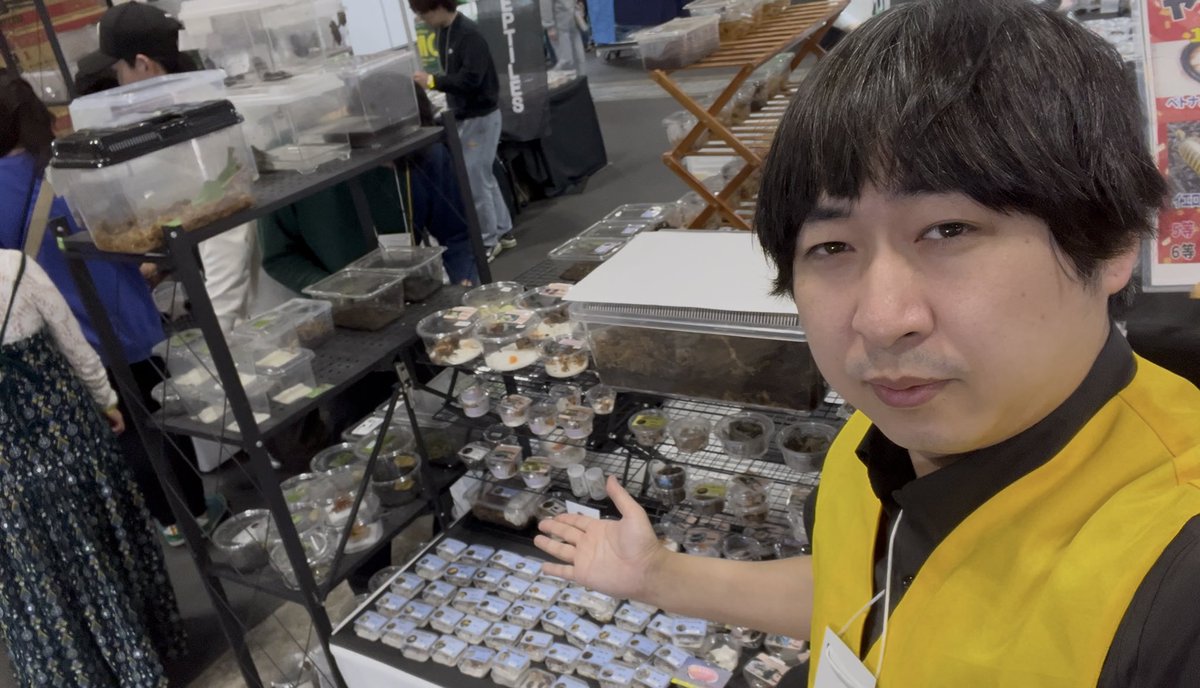 キョンシー蜂丸(昆虫ハウス101号室) tweet media