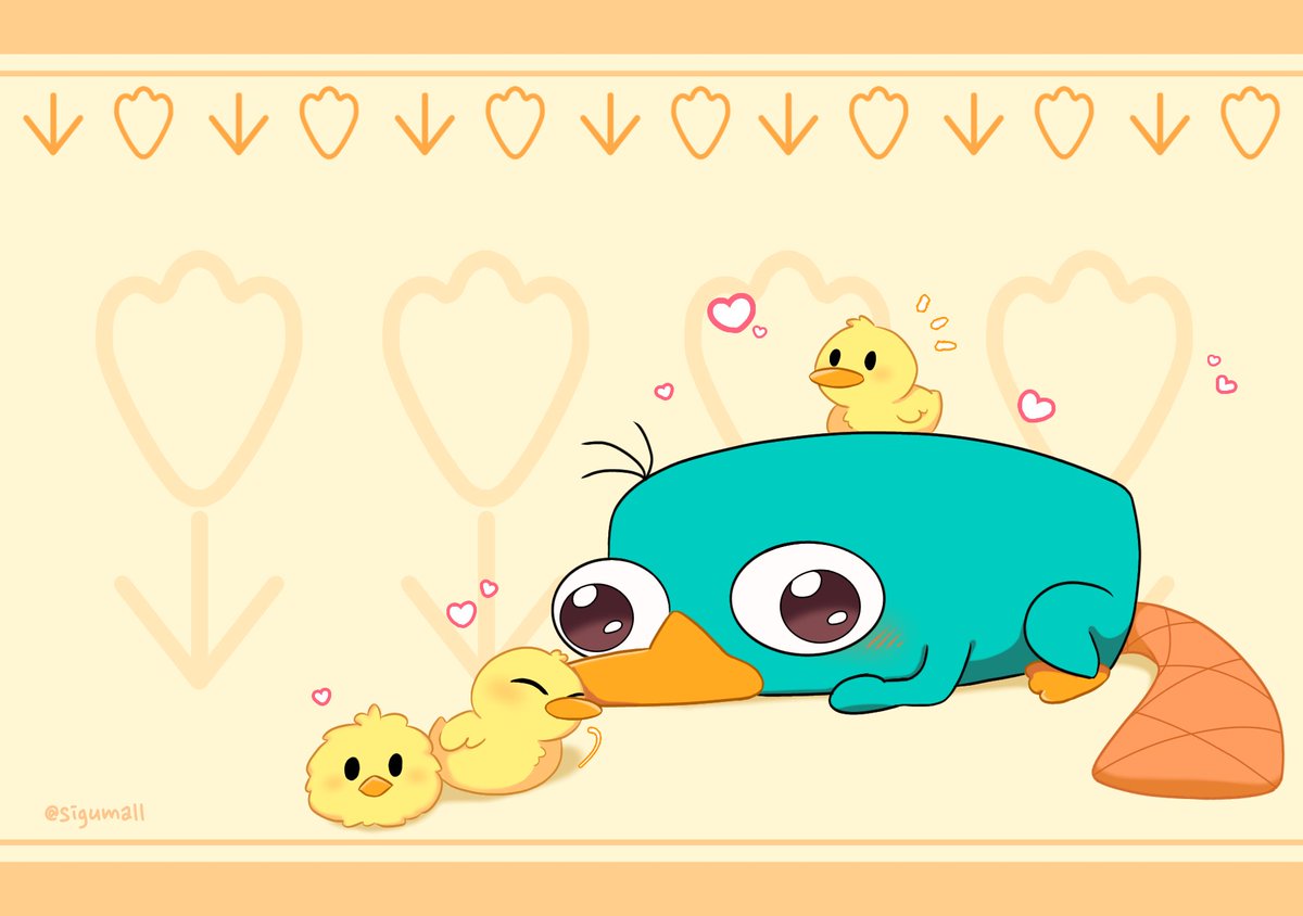 しぐま。 tweet media