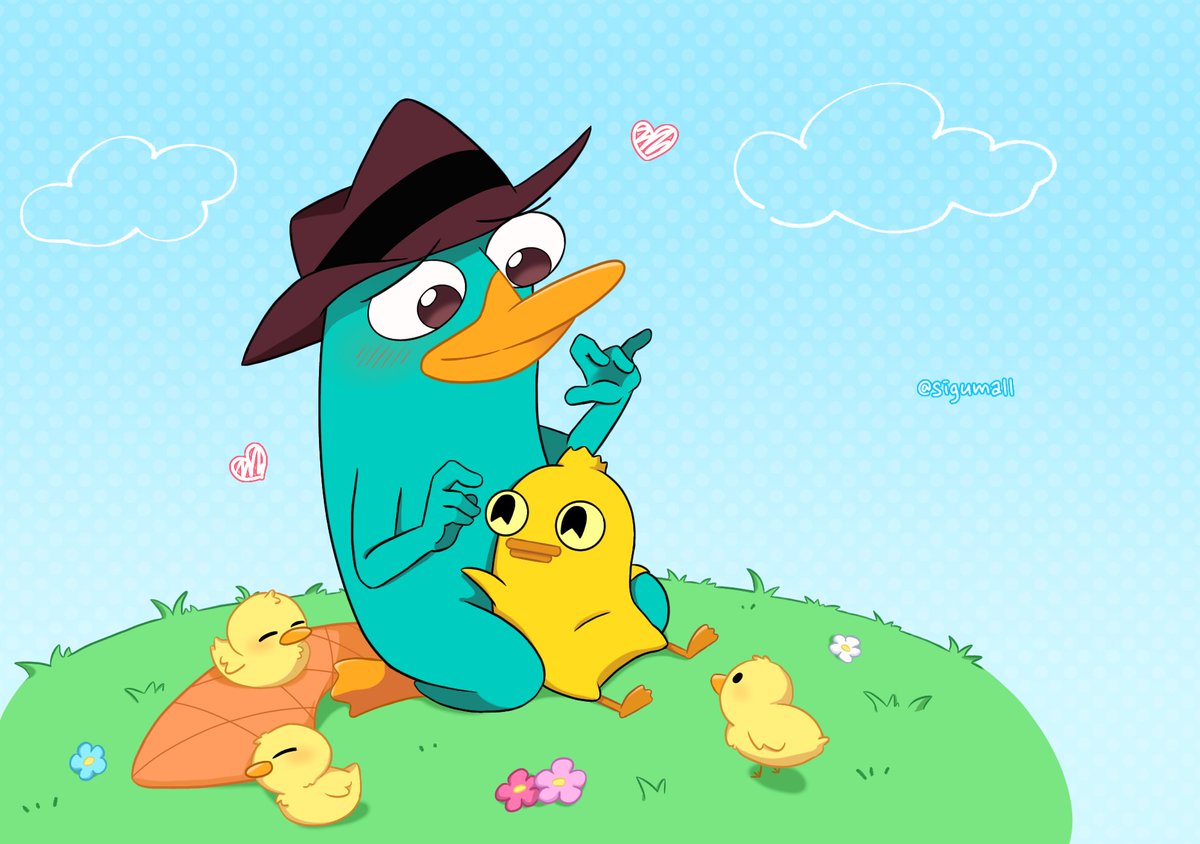 しぐま。 tweet media