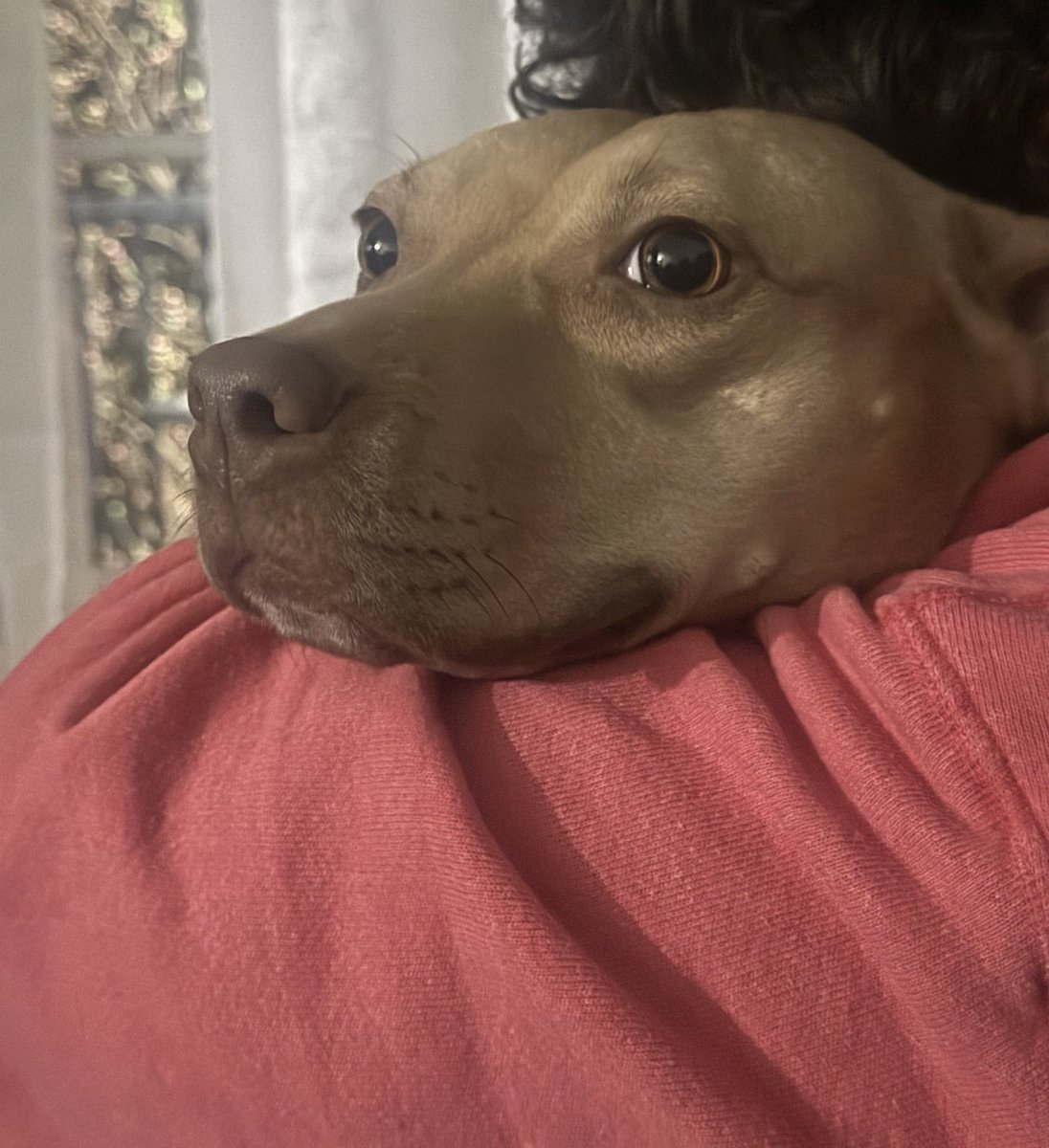 ᶻ 𝗓 𐰁.ᐟ tweet media