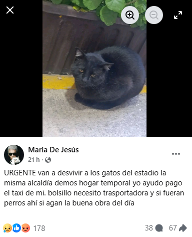 Anonymous Hispano tweet media