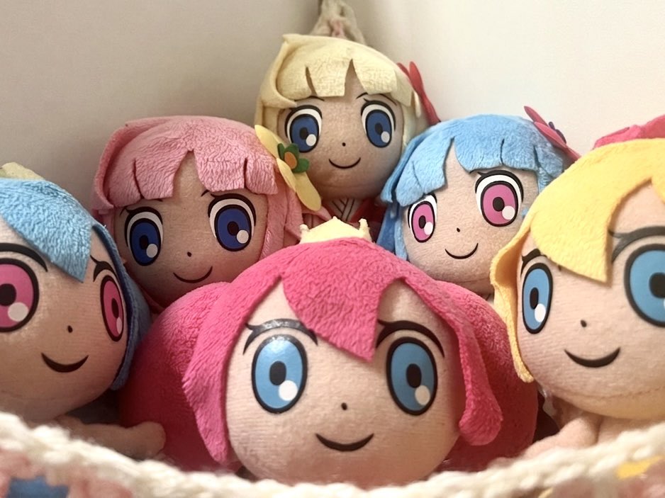 Momimo・∀・ tweet media