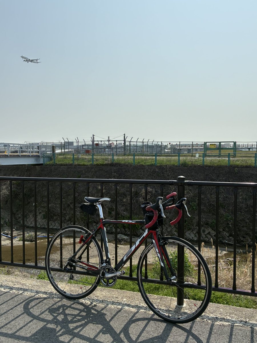 すがにーる 1200/5000、3/12 tweet media