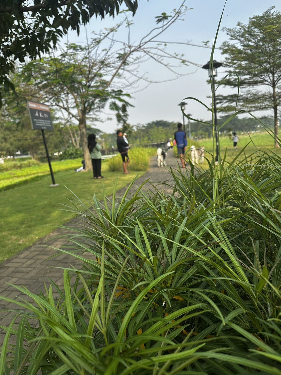 Rex Arcadia【DEXTER】 tweet media