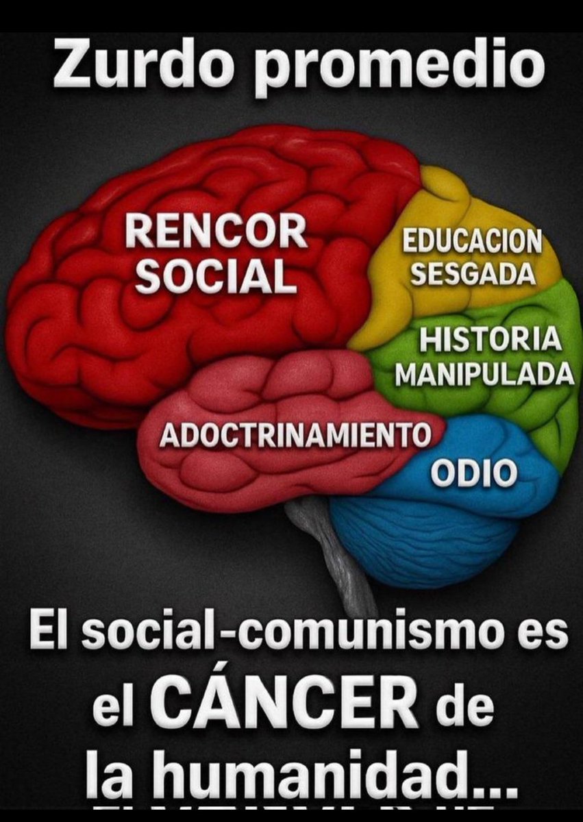 Flor María tweet media