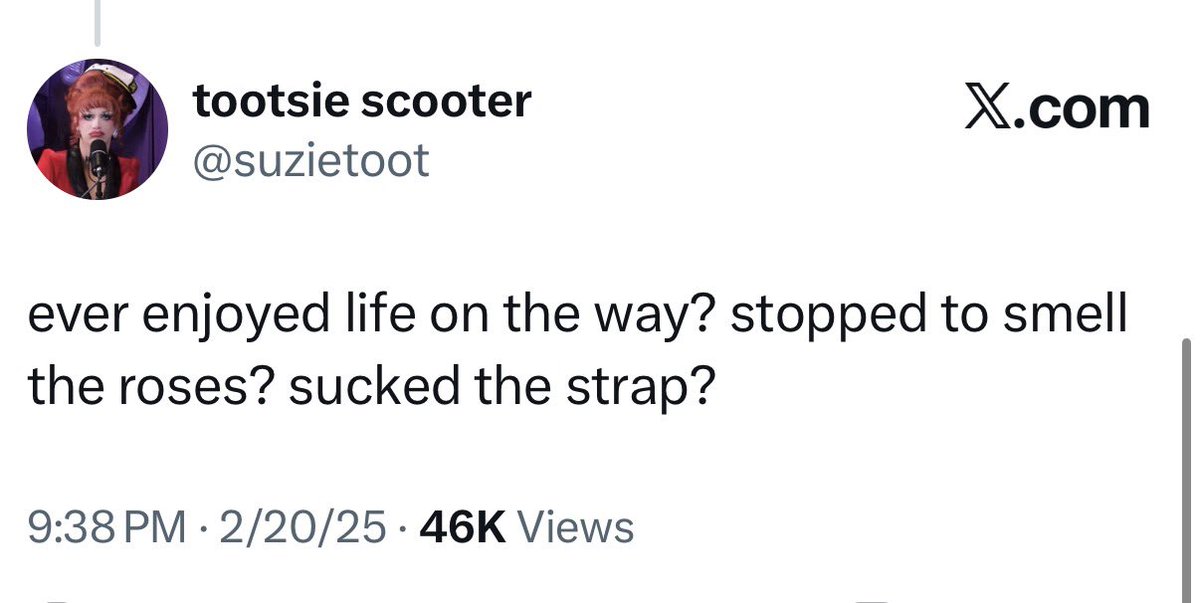 holly !! 🦚 tweet media