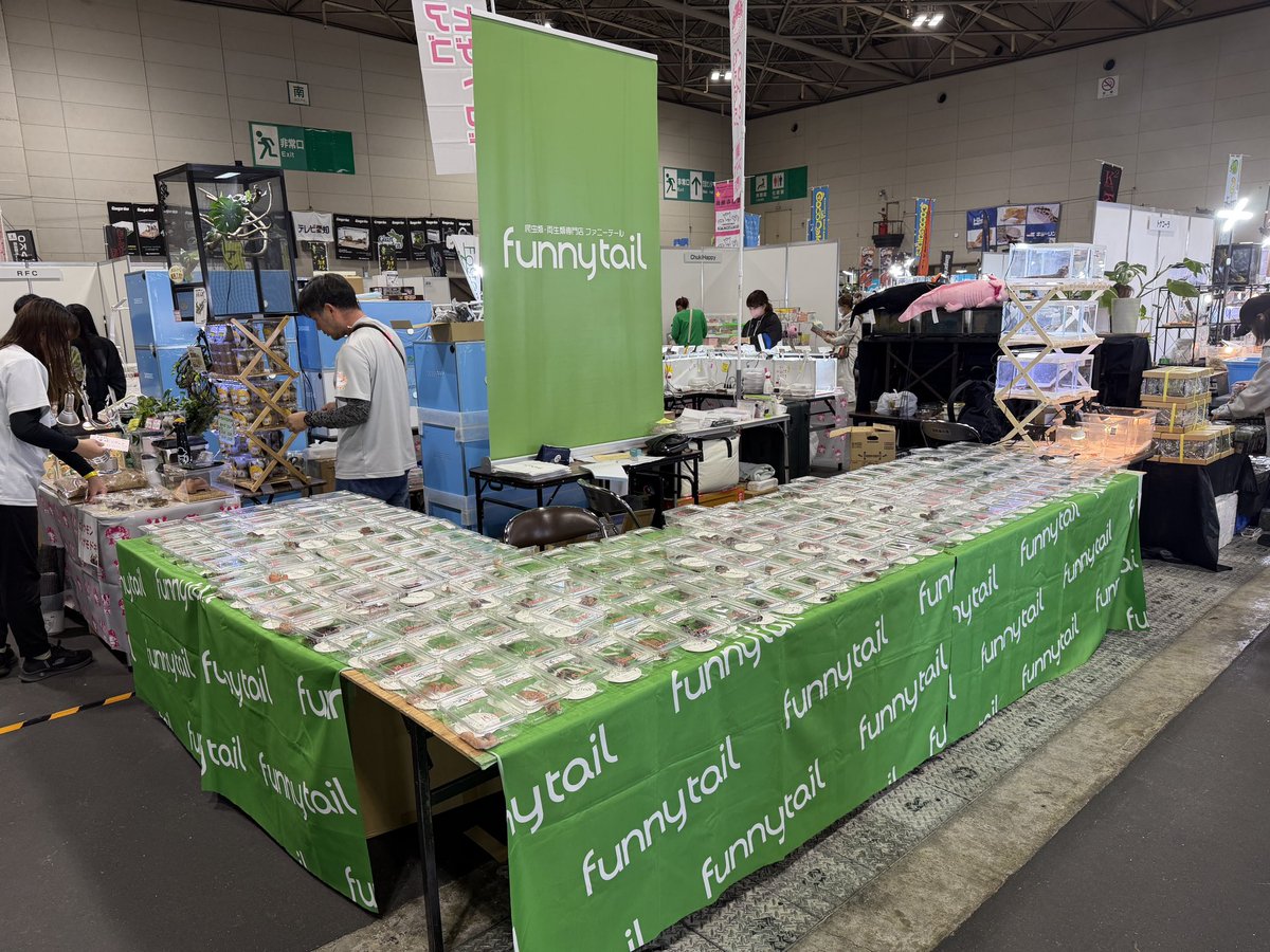 ファニーテール大阪本店 tweet media