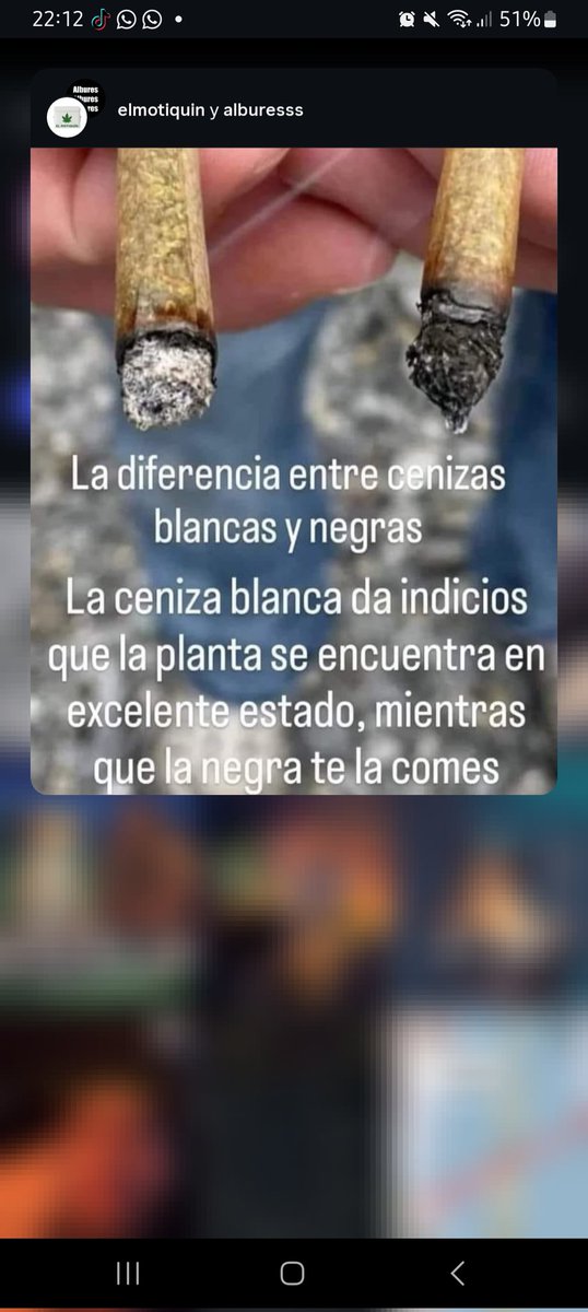 cassinoyas1's tweet photo. @UlisesDavid__ https://t.co/hUBAAwZZOK