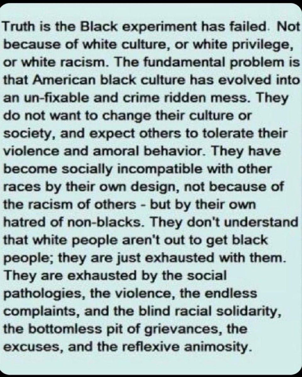 Matthew Payne tweet media