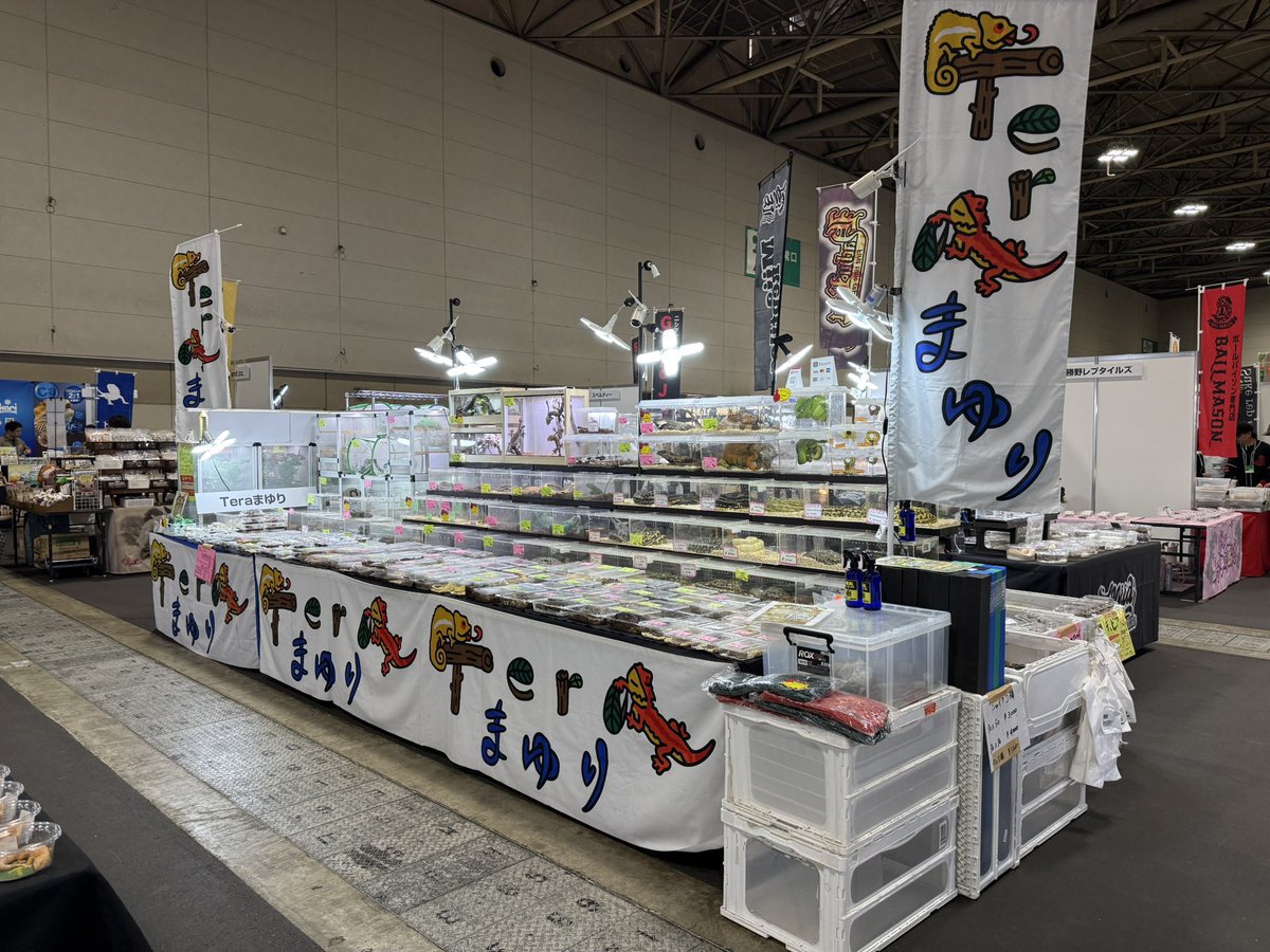 Tera-まゆり tweet media