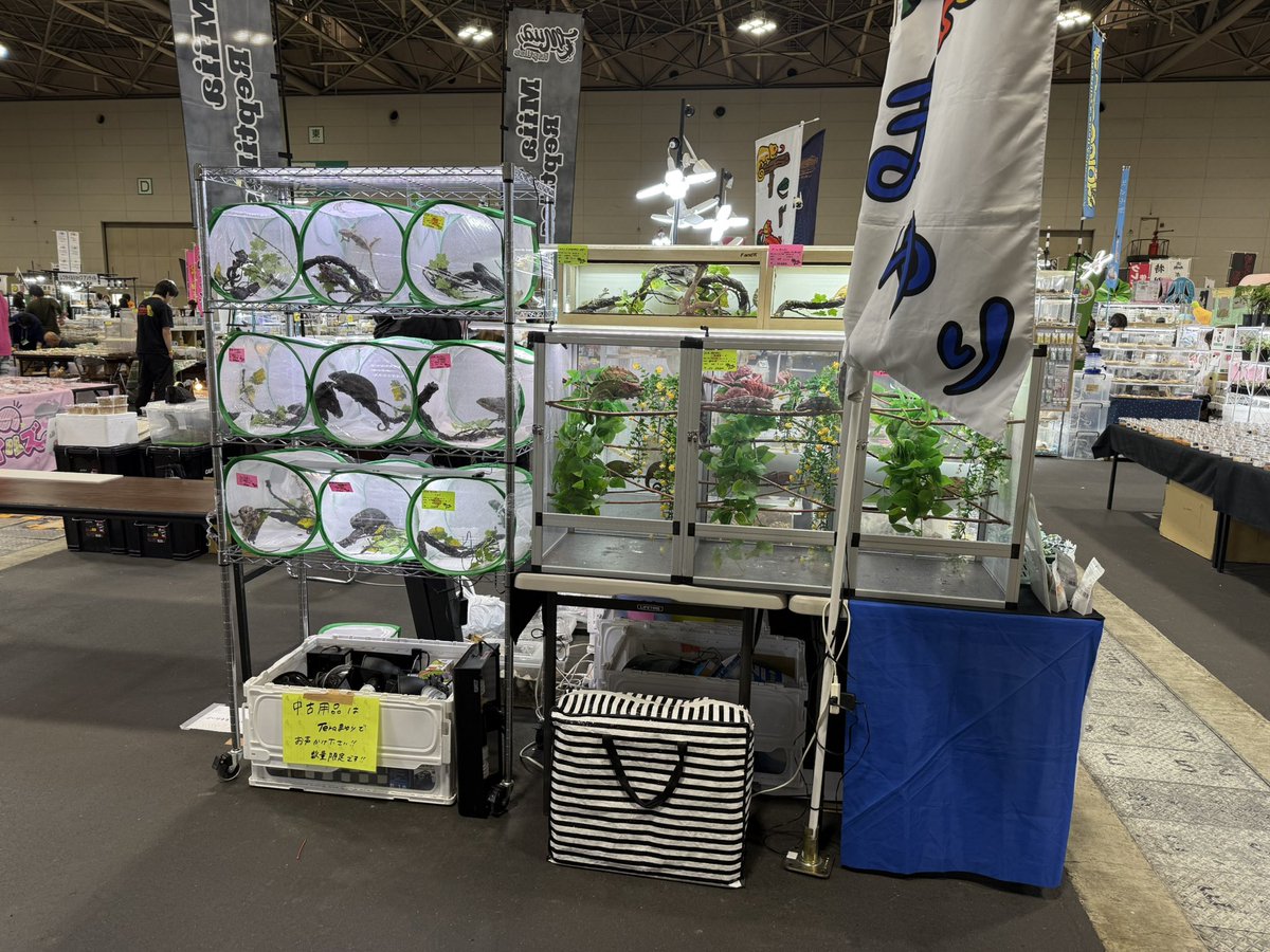 Tera-まゆり tweet media