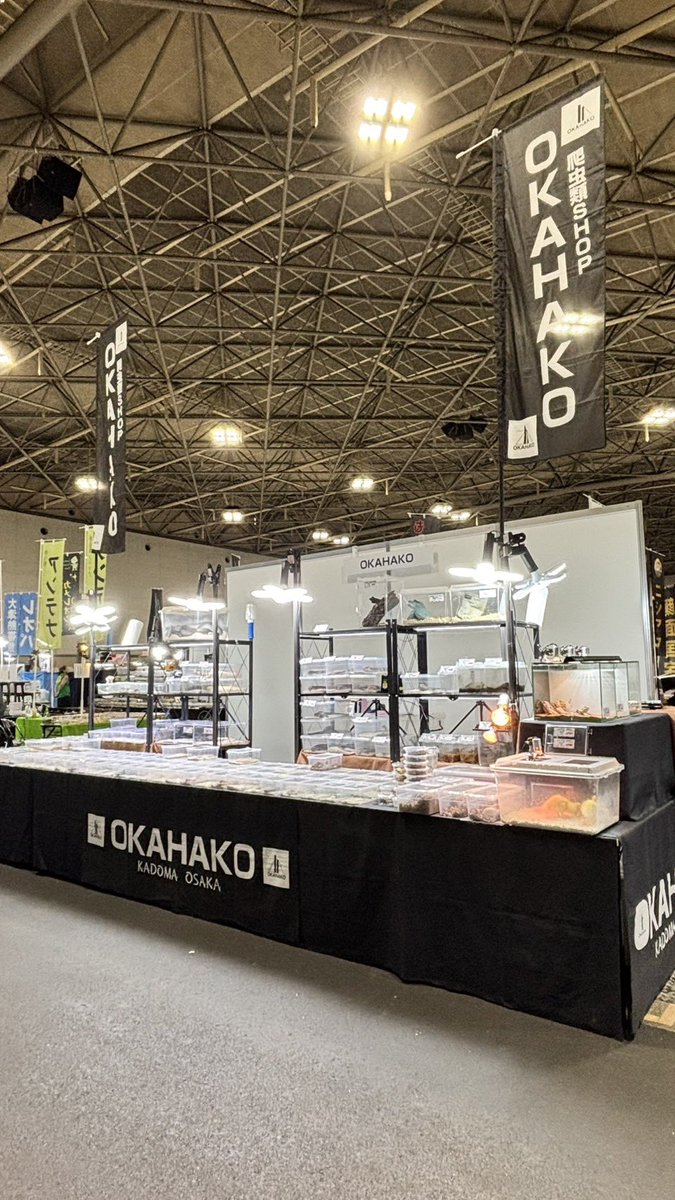 OKAHAKO爬虫類ショップ@3/15広島爬虫類3/28,29ナゴレプ tweet media