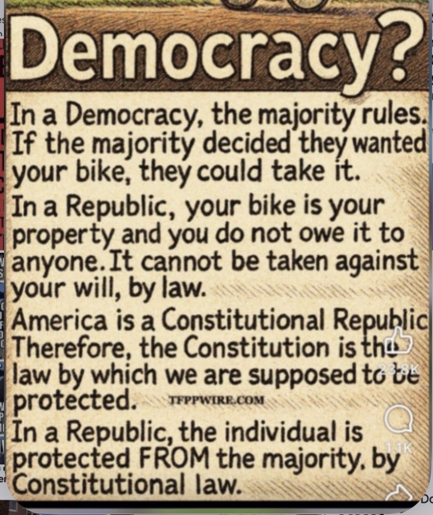 🇺🇸 Red Blooded Mom 🇺🇸 tweet media