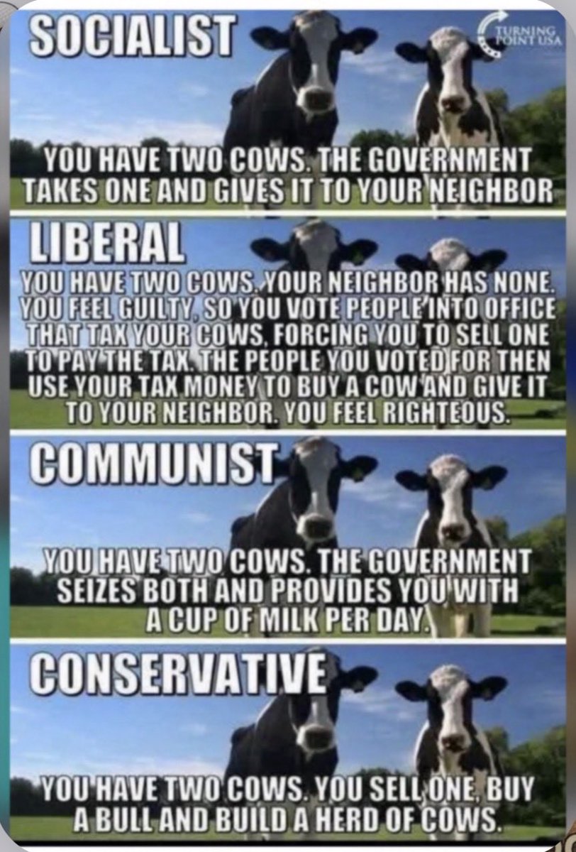 🇺🇸 Red Blooded Mom 🇺🇸 tweet media