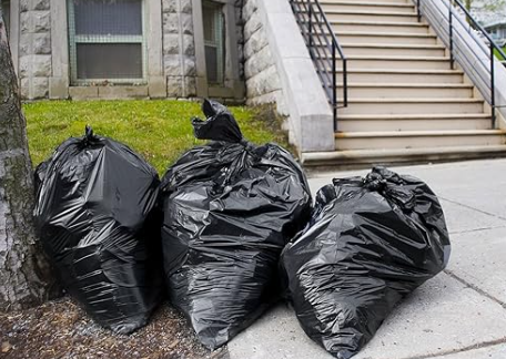 Cucaracha magica【AR】 tweet media