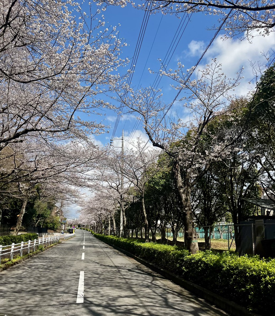 japantotheworld.com tweet media