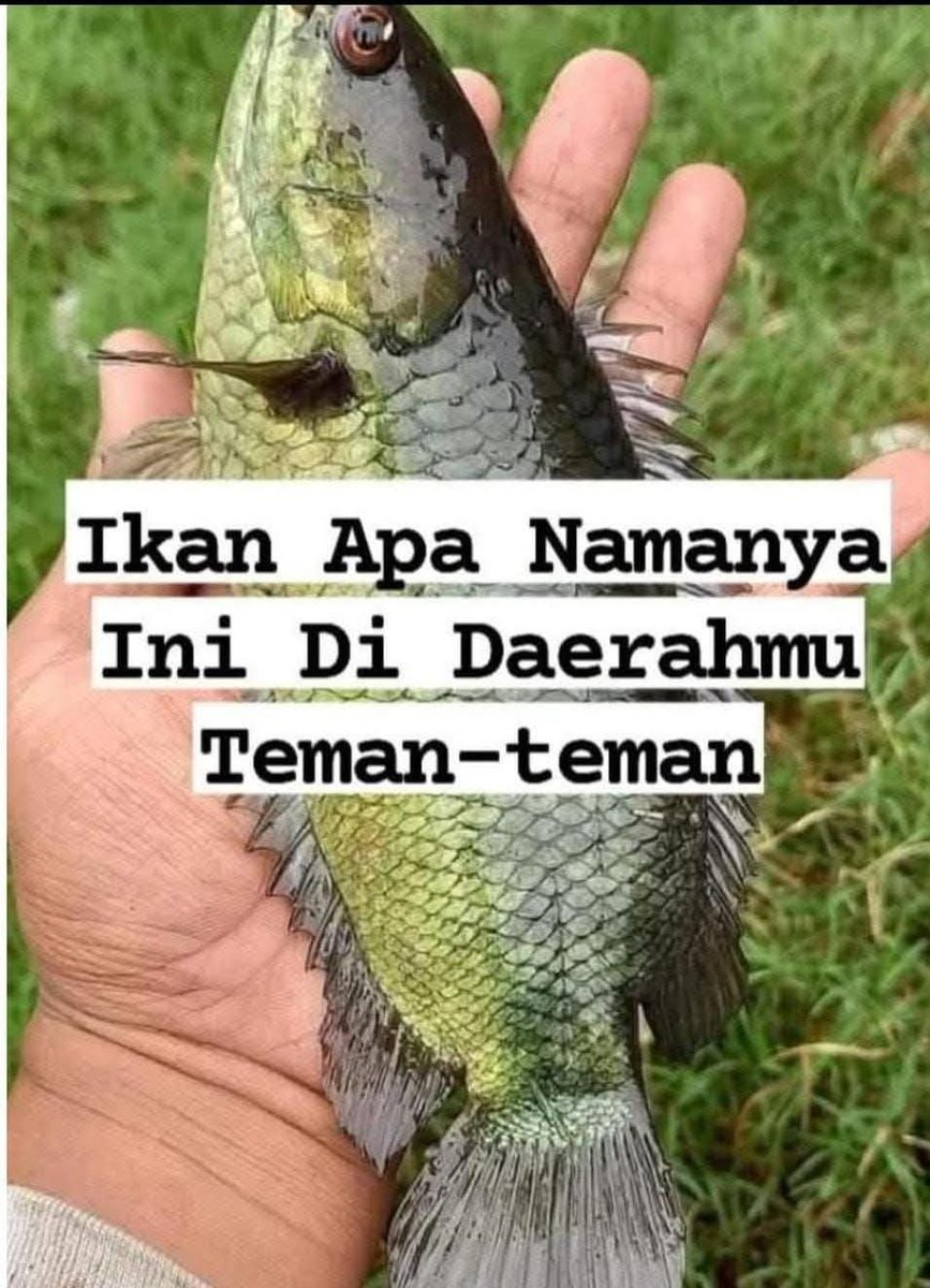 Mama Kasih Azzahra tweet media