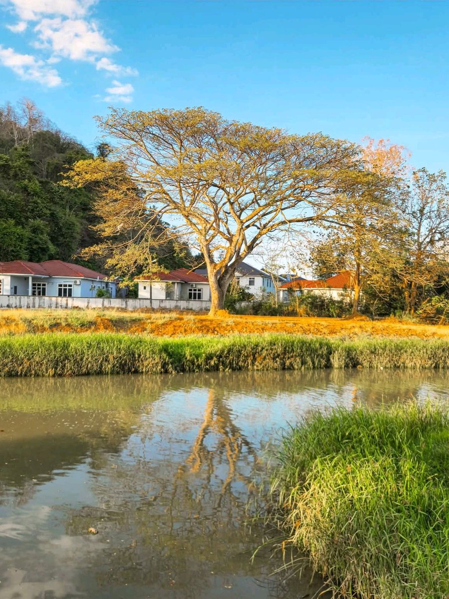 Perlis Permai tweet media