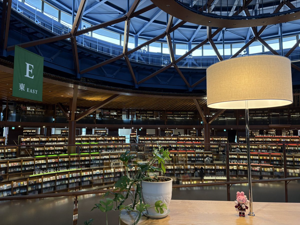 ねねこ tweet media