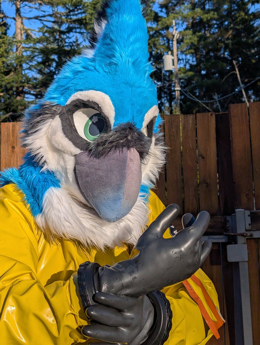 Squawk (now 100% waterproof) @ LVFC tweet media