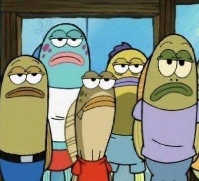 Emma 3.0 🇦🇹 tweet media