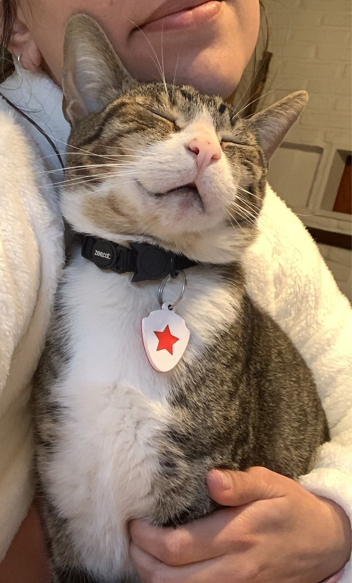 Marcela C tweet media